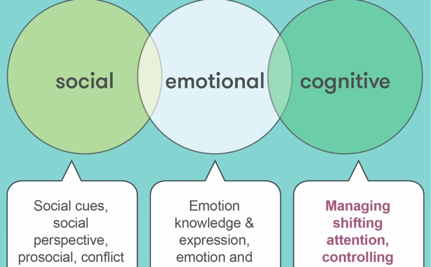 Executive emotional competency training